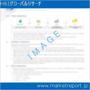 市場と産業調査レポートのイメージ